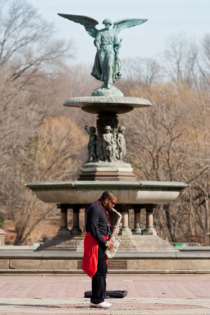 Udsigt i Central Park, New York City