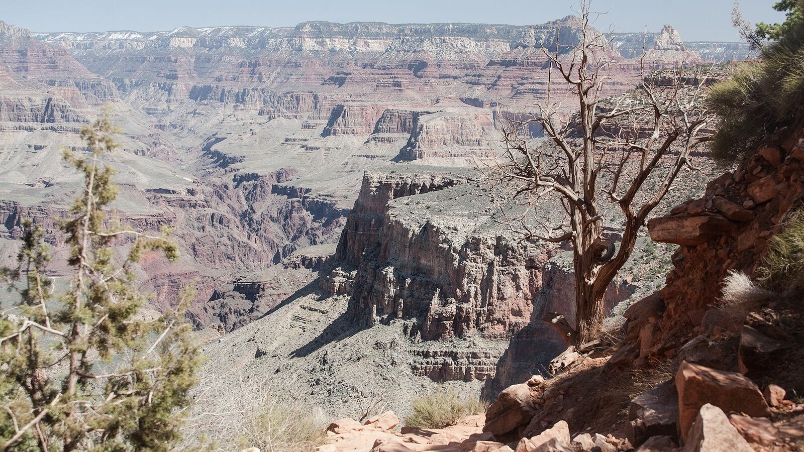 Udsigt over Grand Canyon