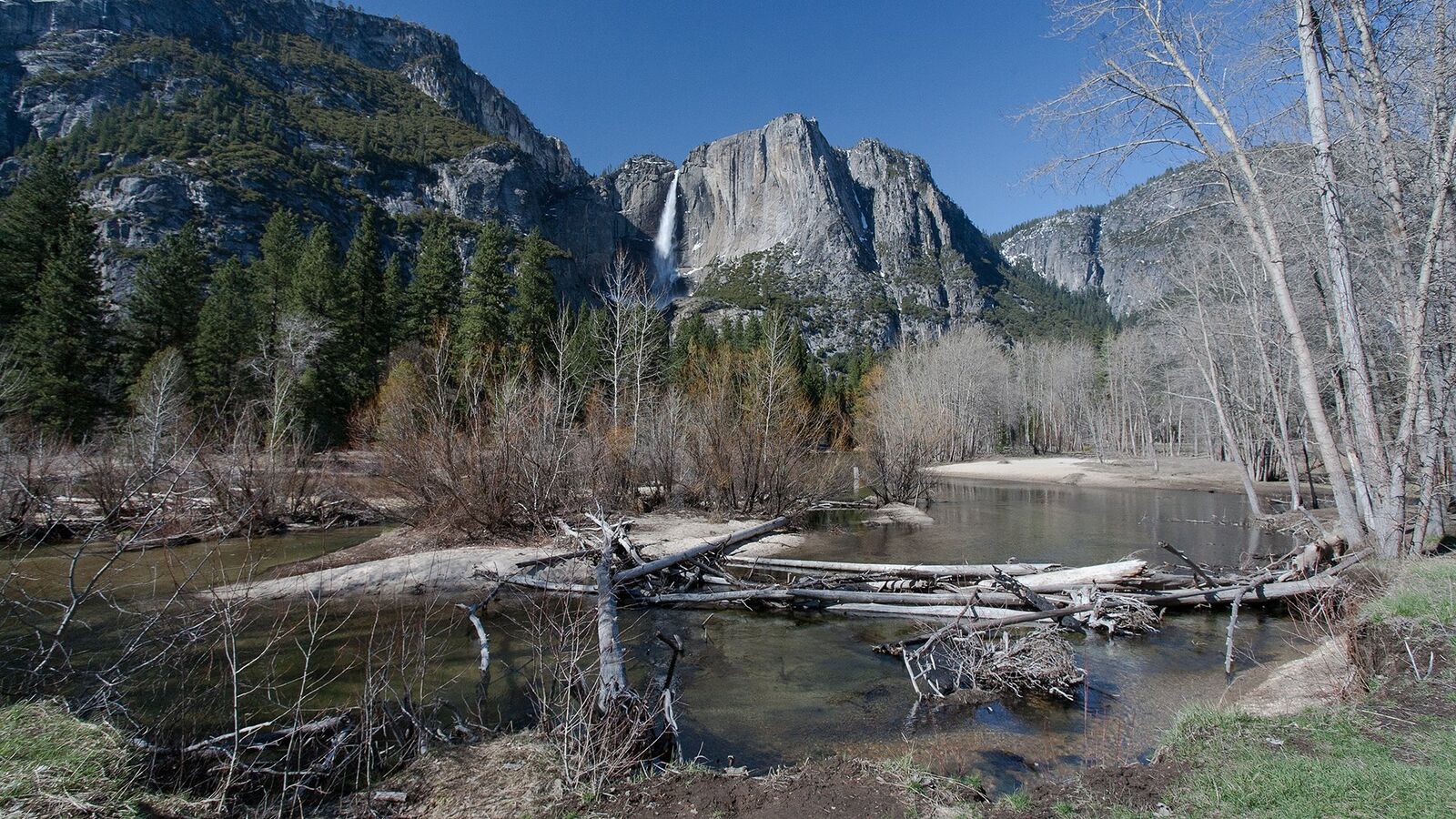 Teltplads i Yosemite Valley
